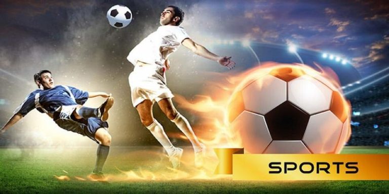 567 BET Descubra o vibrante mundo dos esportes online em